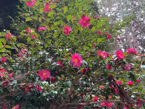 観心寺(大阪府)