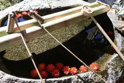 鹿島大神宮の手水舎