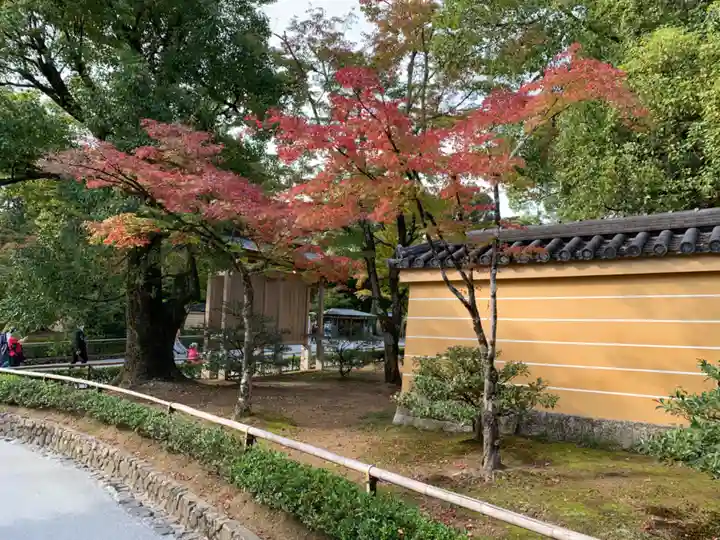 鹿苑寺(金閣寺)(京都府)