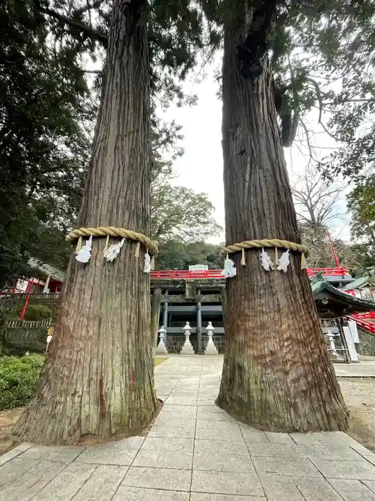 八幡朝見神社の自然