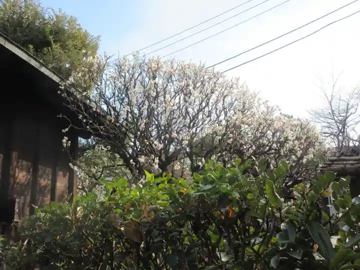 静勝寺(東京都)