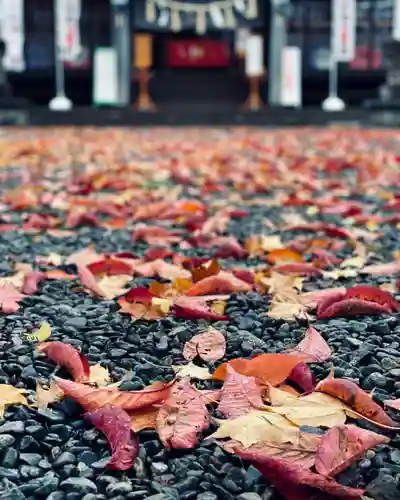 伊達神社の自然