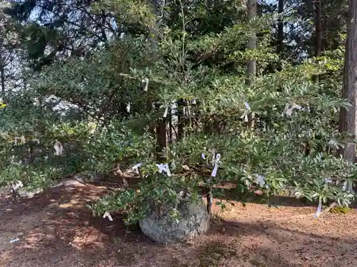 宗形神社(岡山県)