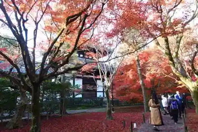 東福禅寺(東福寺)(京都府)