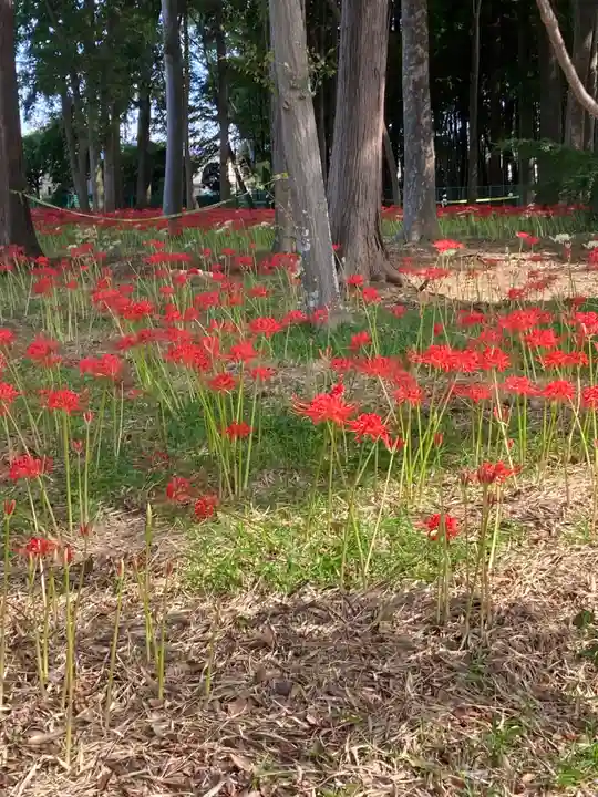 祖光院(千葉県)