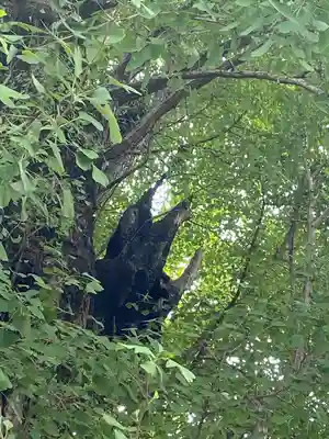 飛木稲荷神社(東京都)