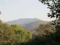 宇佐神宮(大分県)