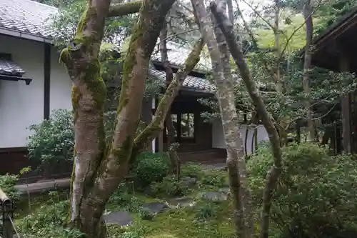 蓮華寺（洛北蓮華寺）のその他建物
