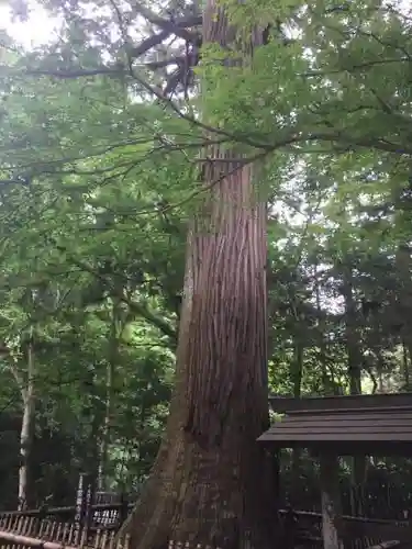 雲巌寺の自然