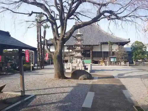 如意輪寺の本殿・本堂