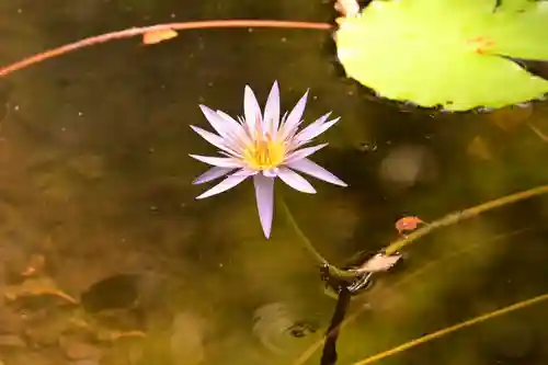 土佐神社(高知県)
