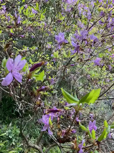 清水寺(岐阜県)