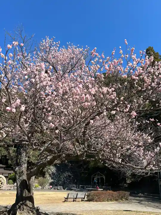 清水寺(静岡県)