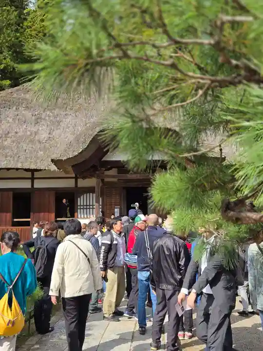 常楽寺の御朱印