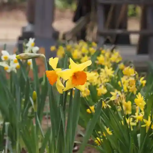 天王山 安楽寺(福井県)