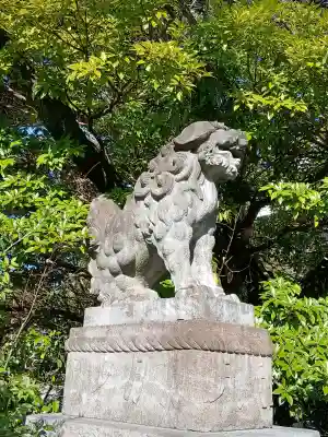 芝東照宮の狛犬