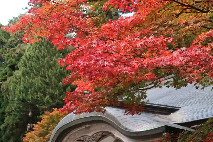 比叡山延暦寺の自然