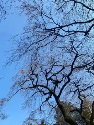 光丸山 法輪寺の{uncategorized: "未分類", other: "その他", undefined: "問題あり", building: "その他建物", grave: "お墓", sacred_gate: "鳥居", guardian: "狛犬", statue: "像", buddha: "仏像", history: "歴史", nature: "自然", garden: "庭園", animal: "動物", pagoda: "塔", temizu: "手水舎", mountain_gate: "山門・神門", sanctuary: "本殿・本堂", subordinate: "末社・摂社", art: "芸術", scenery: "景色", jizo: "地蔵", ema: "絵馬", goshuin: "御朱印", omikuji: "おみくじ", items: "授与品その他", amulet: "お守り", goshuincho: "御朱印帳", eats: "食事", festival: "お祭り", votive_dance: "神楽", shichigosan: "七五三参", wedding: "結婚式", experience: "体験その他", initially: "初詣", around: "周辺", anti_infection: "感染症対策"}