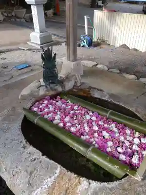 立志神社の手水舎