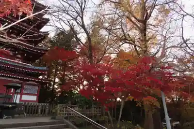 本土寺(千葉県)