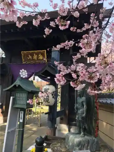 密藏院の山門・神門