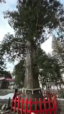 志和古稲荷神社(岩手県)