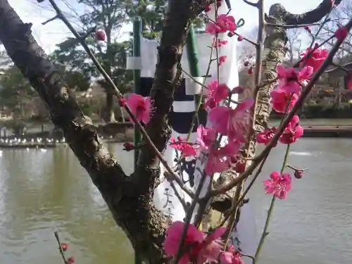 旗上弁財天社の自然