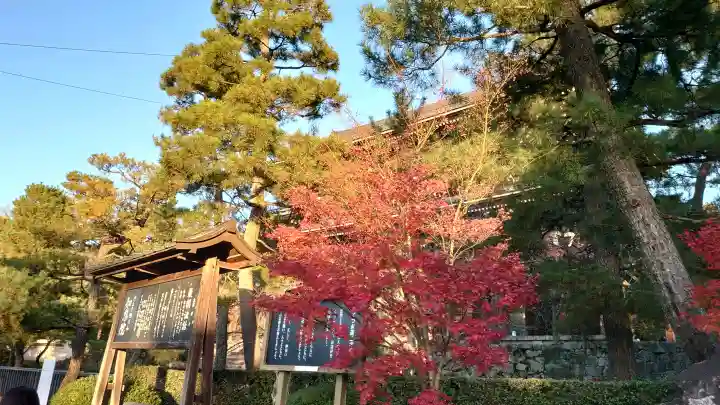 知恩院の{uncategorized: "未分類", other: "その他", undefined: "問題あり", building: "その他建物", grave: "お墓", sacred_gate: "鳥居", guardian: "狛犬", statue: "像", buddha: "仏像", history: "歴史", nature: "自然", garden: "庭園", animal: "動物", pagoda: "塔", temizu: "手水舎", mountain_gate: "山門・神門", sanctuary: "本殿・本堂", subordinate: "末社・摂社", art: "芸術", scenery: "景色", jizo: "地蔵", ema: "絵馬", goshuin: "御朱印", omikuji: "おみくじ", items: "授与品その他", amulet: "お守り", goshuincho: "御朱印帳", eats: "食事", festival: "お祭り", votive_dance: "神楽", shichigosan: "七五三参", wedding: "結婚式", experience: "体験その他", initially: "初詣", around: "周辺", anti_infection: "感染症対策"}