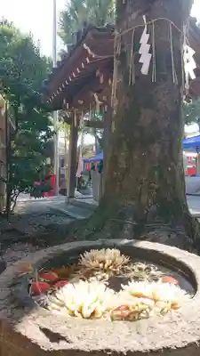蛇窪神社(東京都)