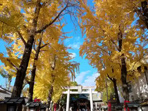 石切劔箭神社(大阪府)