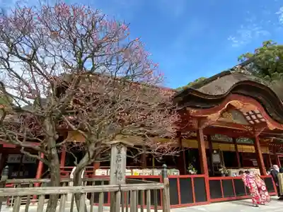 太宰府天満宮の本殿・本堂