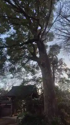 東泉院(神奈川県)