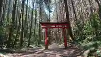 羽黒山神社の鳥居