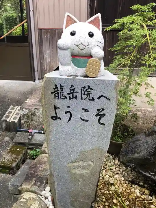 龍岳院の狛犬