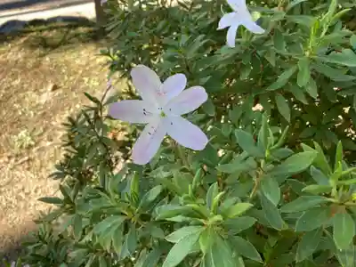 開成山大神宮(福島県)