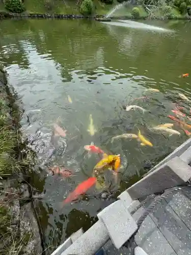 吉香神社(山口県)