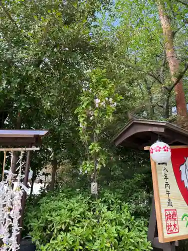 櫻木神社の{uncategorized: "未分類", other: "その他", undefined: "問題あり", building: "その他建物", grave: "お墓", sacred_gate: "鳥居", guardian: "狛犬", statue: "像", buddha: "仏像", history: "歴史", nature: "自然", garden: "庭園", animal: "動物", pagoda: "塔", temizu: "手水舎", mountain_gate: "山門・神門", sanctuary: "本殿・本堂", subordinate: "末社・摂社", art: "芸術", scenery: "景色", jizo: "地蔵", ema: "絵馬", goshuin: "御朱印", omikuji: "おみくじ", items: "授与品その他", amulet: "お守り", goshuincho: "御朱印帳", eats: "食事", festival: "お祭り", votive_dance: "神楽", shichigosan: "七五三参", wedding: "結婚式", experience: "体験その他", initially: "初詣", around: "周辺", anti_infection: "感染症対策"}