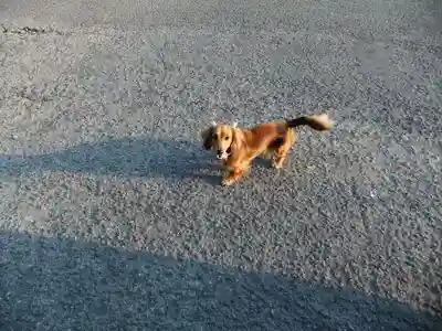 琴尾神社(長崎県)