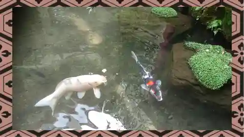 金刀比羅神社(東京都)