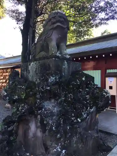 大國魂神社の狛犬
