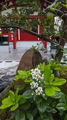 太融寺(大阪府)