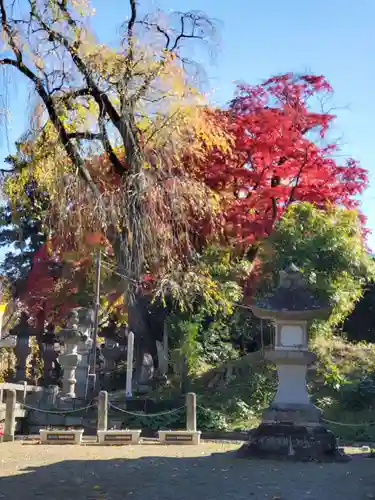 神炊館神社 ⁂奥州須賀川総鎮守⁂(福島県)