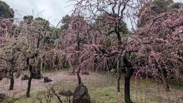 城南宮(京都府)