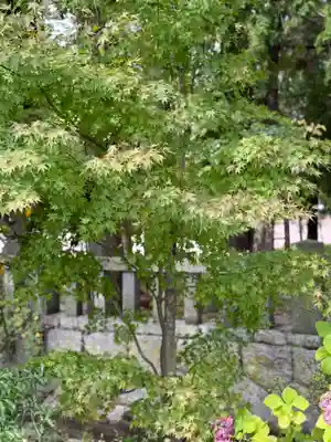 穂高神社本宮(長野県)