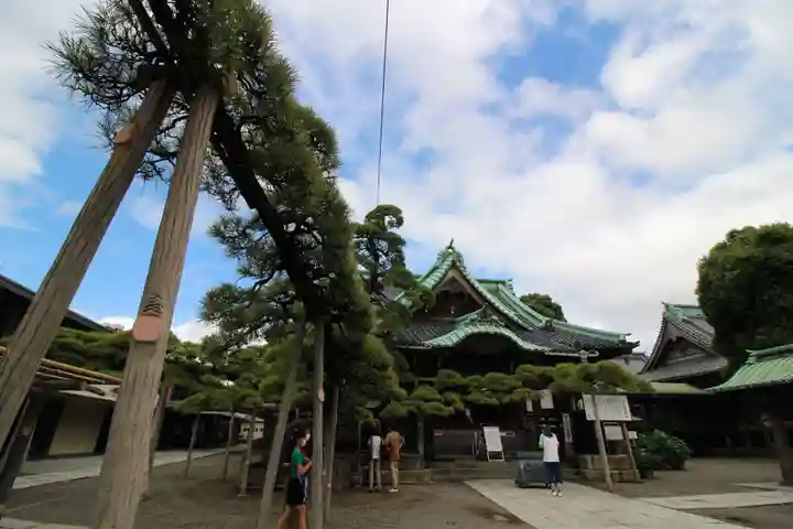 題経寺(柴又帝釈天)の自然