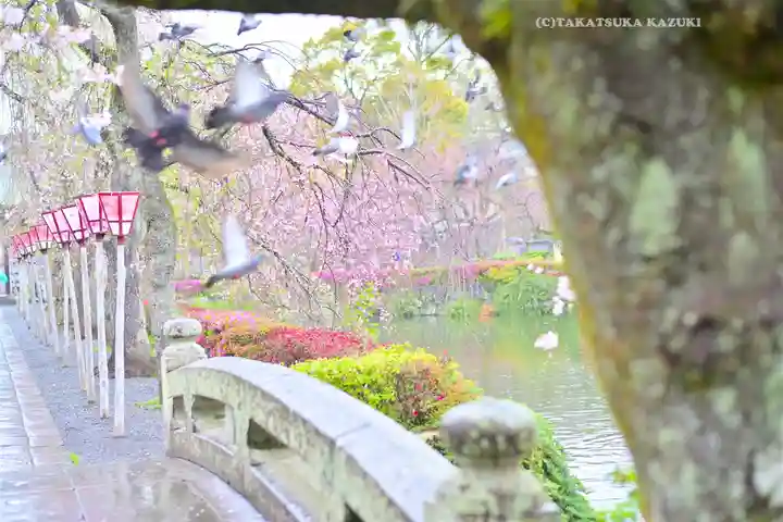 三嶋大社(静岡県)