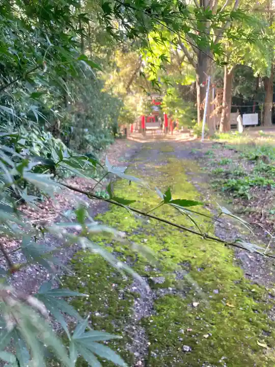 久伊豆神社の周辺