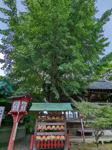 松ヶ崎大黒天 妙圓寺（妙円寺）(京都府)