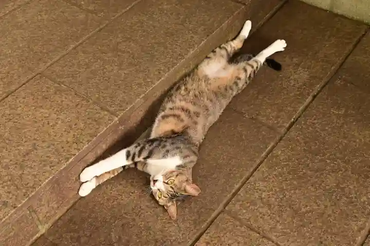 王子神社(徳島県)