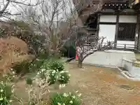 来迎寺(西御門)の{uncategorized: "未分類", other: "その他", undefined: "問題あり", building: "その他建物", grave: "お墓", sacred_gate: "鳥居", guardian: "狛犬", statue: "像", buddha: "仏像", history: "歴史", nature: "自然", garden: "庭園", animal: "動物", pagoda: "塔", temizu: "手水舎", mountain_gate: "山門・神門", sanctuary: "本殿・本堂", subordinate: "末社・摂社", art: "芸術", scenery: "景色", jizo: "地蔵", ema: "絵馬", goshuin: "御朱印", omikuji: "おみくじ", items: "授与品その他", amulet: "お守り", goshuincho: "御朱印帳", eats: "食事", festival: "お祭り", votive_dance: "神楽", shichigosan: "七五三参", wedding: "結婚式", experience: "体験その他", initially: "初詣", around: "周辺", anti_infection: "感染症対策"}